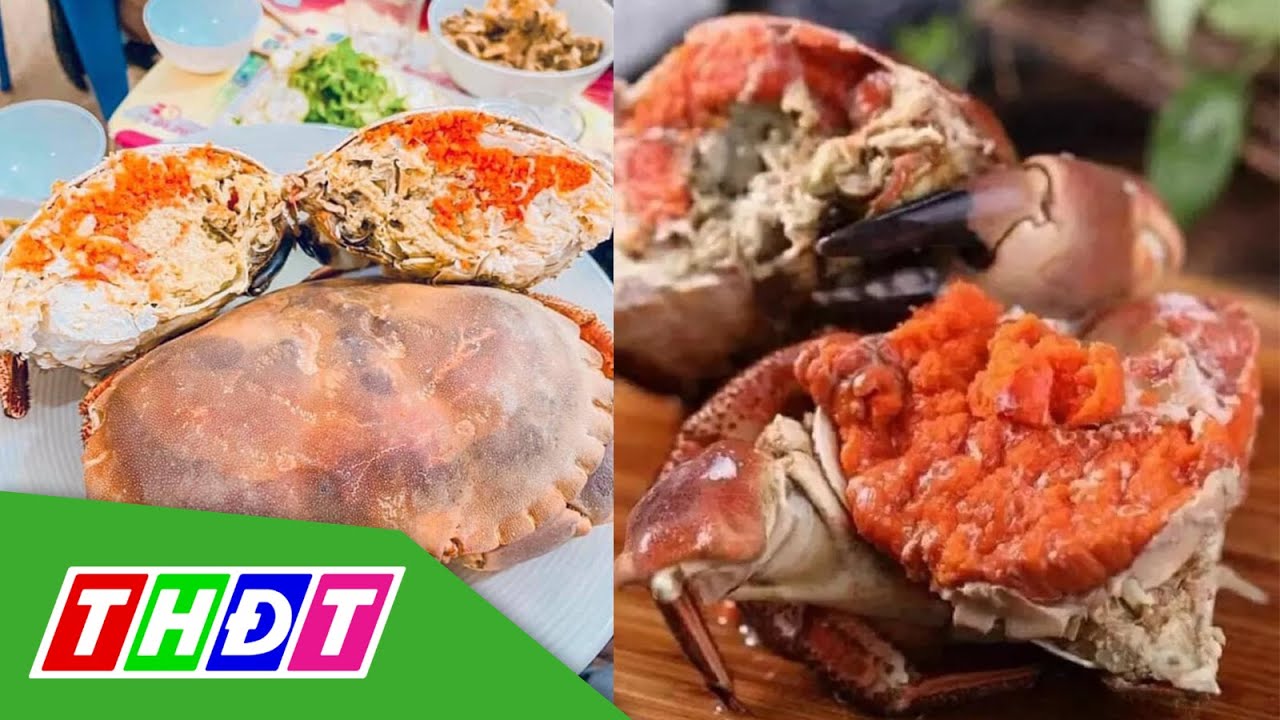 Cua n&acirc;u Na Uy si&ecirc;u gạch gi&aacute; cả phải chăng | THDT