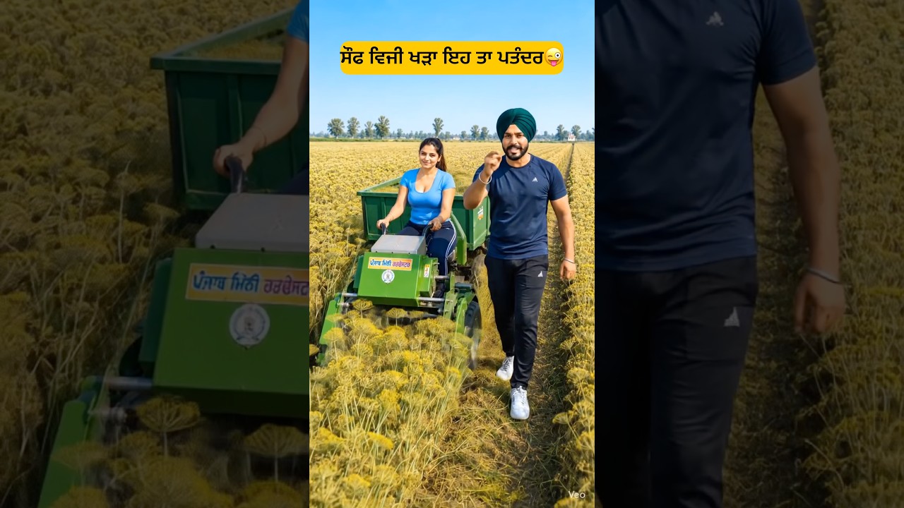 Sauf di kheti krke anaa paisa bnda😱 #punjab #jattlife #farming #harvester