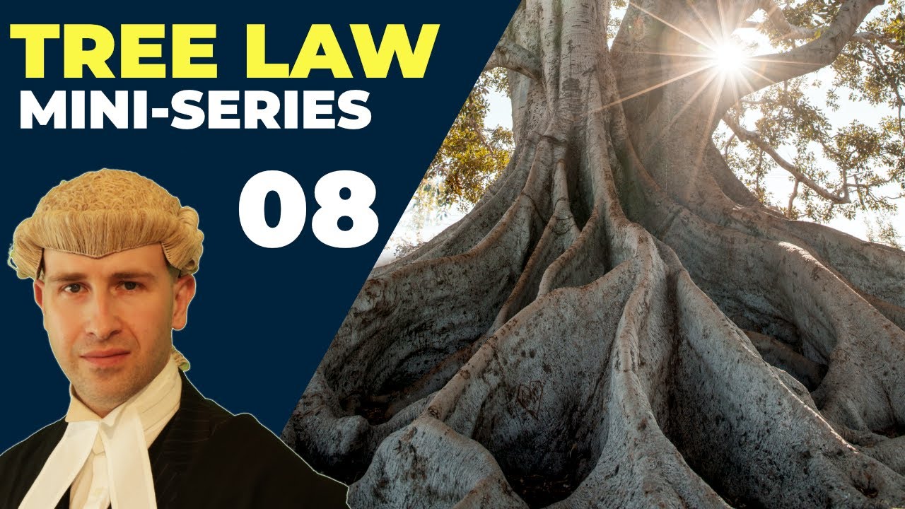 Can I Cut My Neighbors Tree Roots?  | Tree Law Miniseries | BlackBeltBarrister