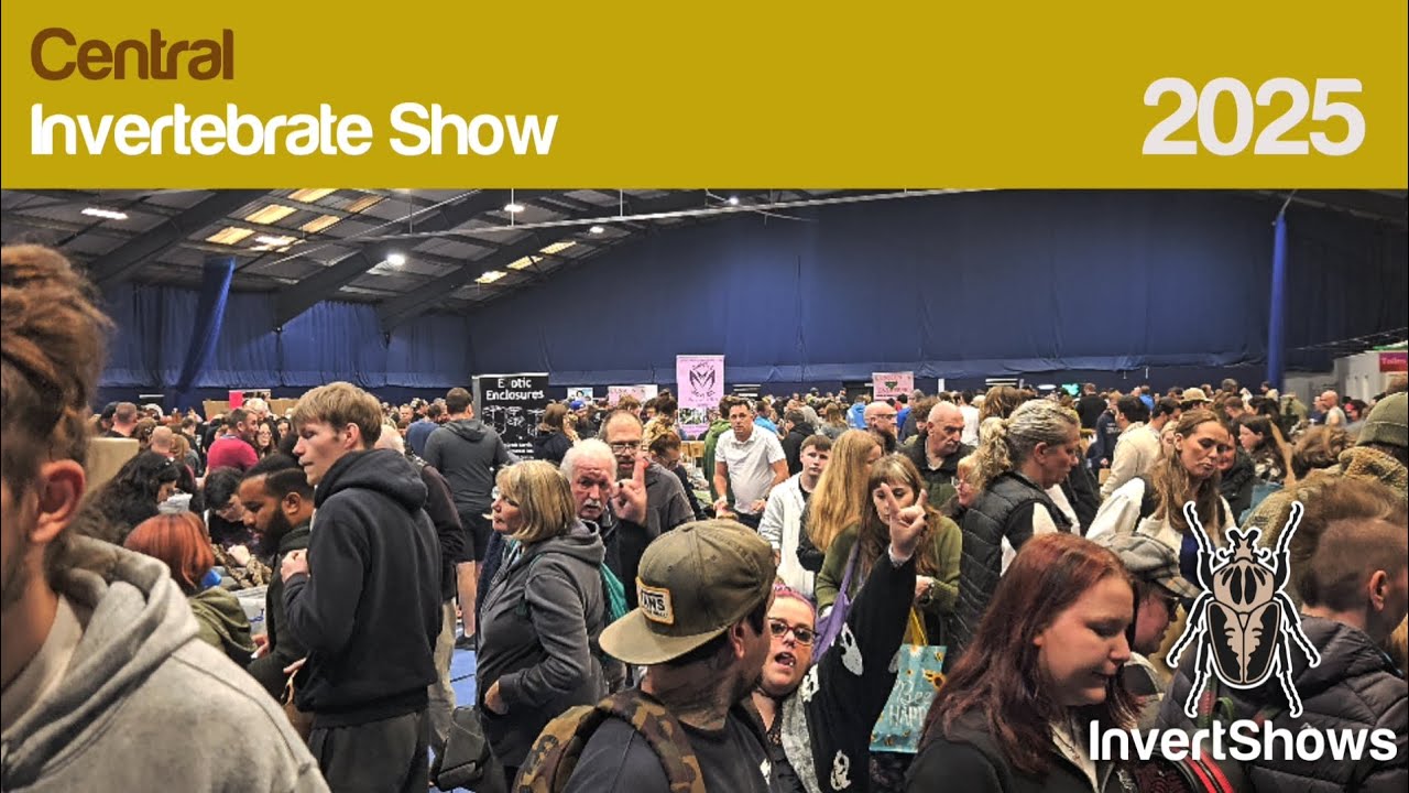 Central Invertebrate Show 2025 