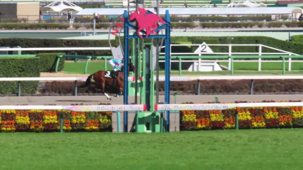 2026年3月8日 中山10R 総武ステークス 本馬場先出 ミアネーロ