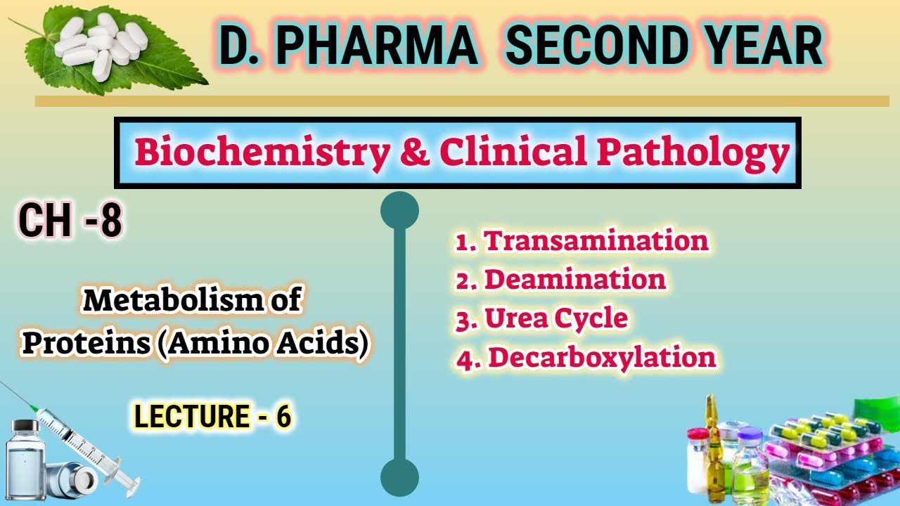 Protein metabolism | CH-8 | L-6 | Biochemistry |Amino acid metabolism | D.Pharm second year
