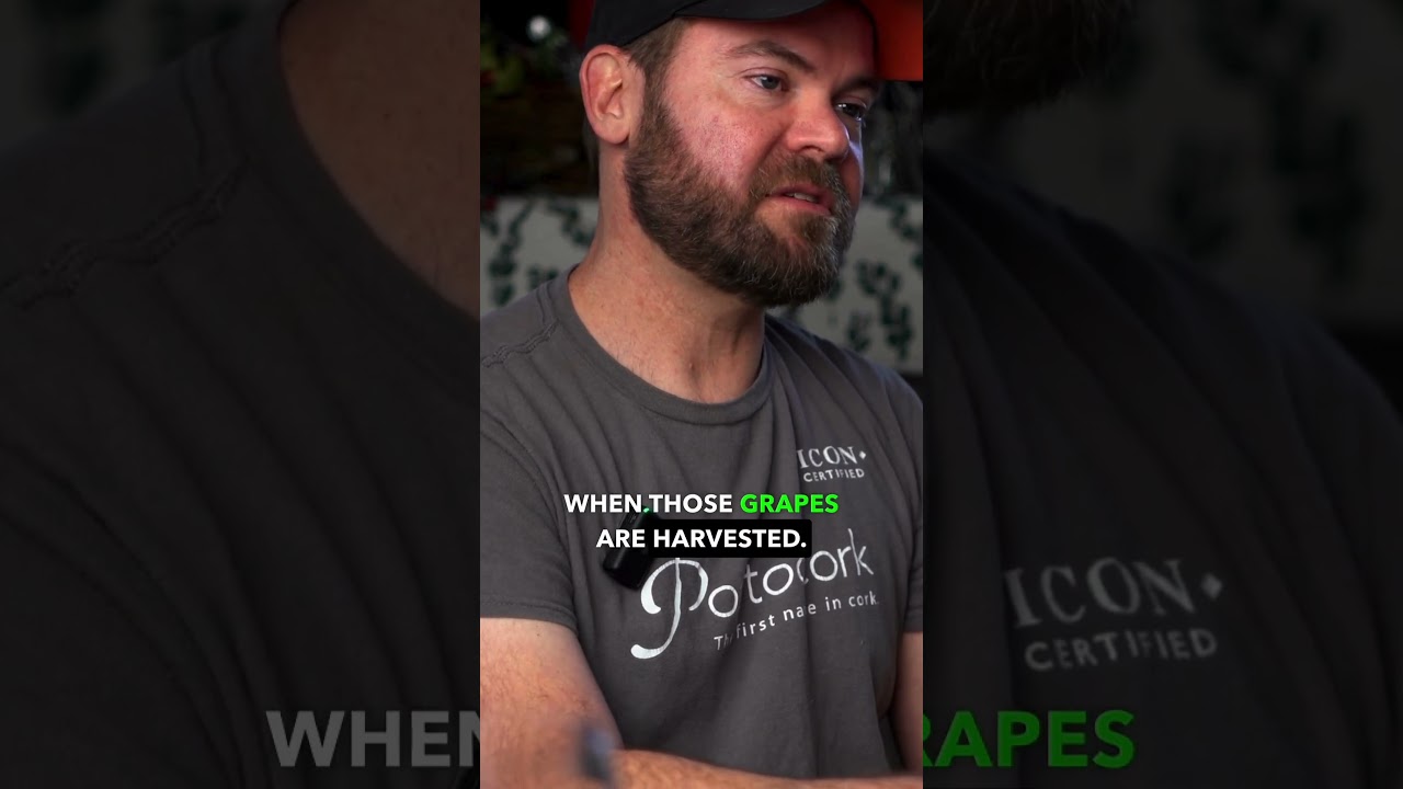 Who works with a Winemaker