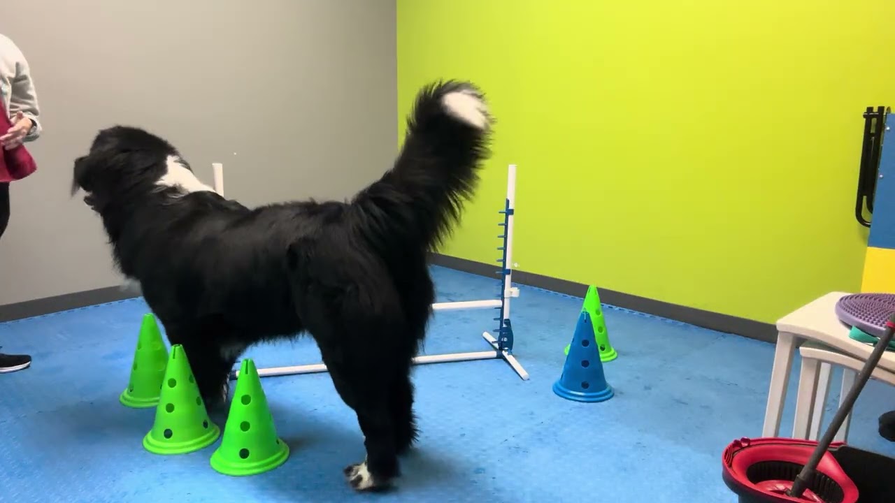 Askem agility