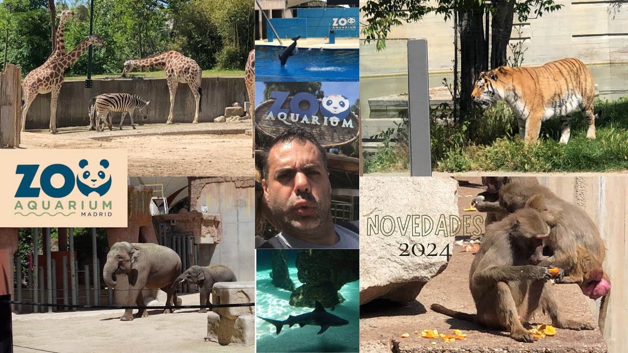 ZOO AQUARIUM MADRID MAYO 2024