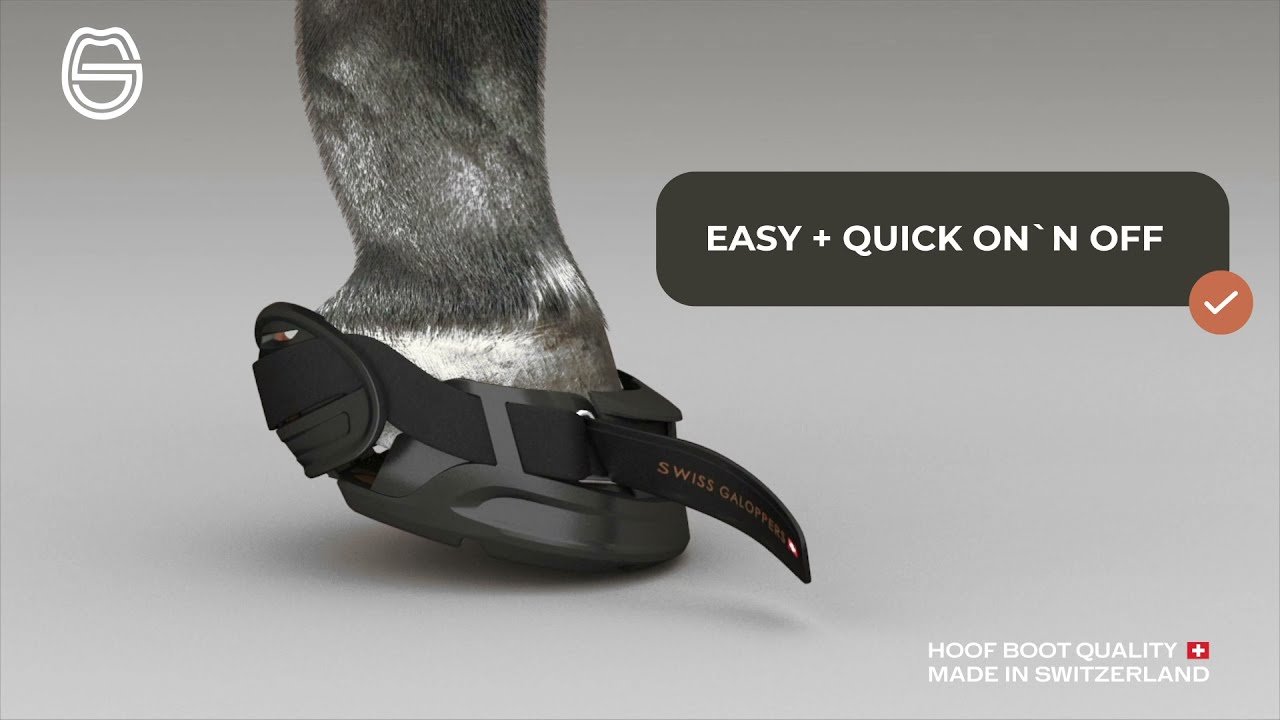 SWISS GALOPPERS - Hoof Boot Quality made in Switzerland