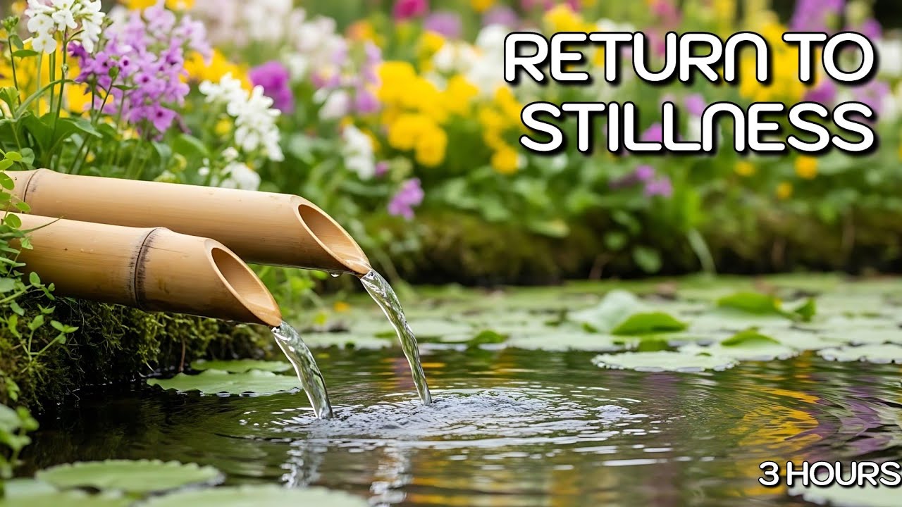 🕊️ Return to Stillness | Zen Healing Music for Deep Meditation (3 Hours)
