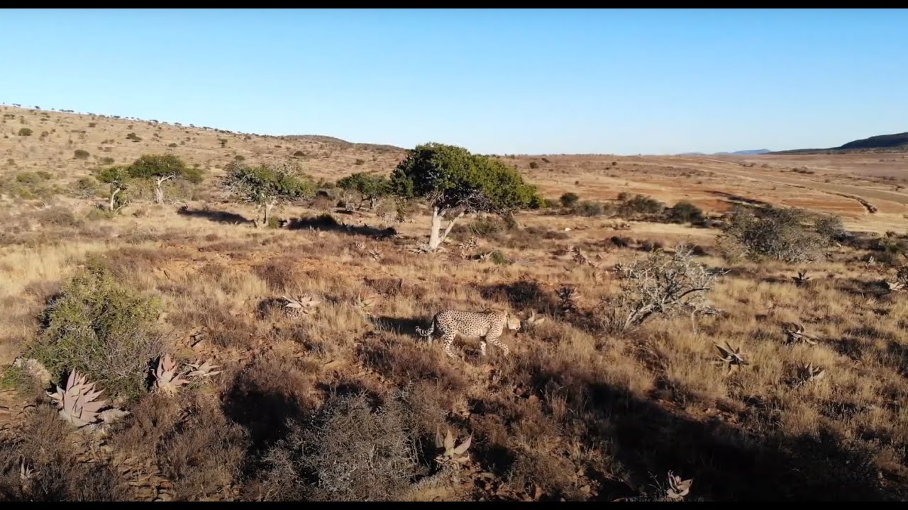 Magic Hills Full Circle