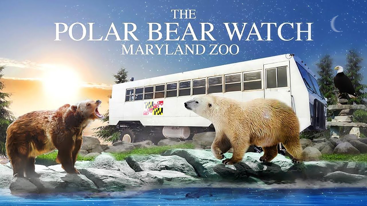 Zoo Tours: The Polar Bear Watch at the Maryland Zoo (2003)