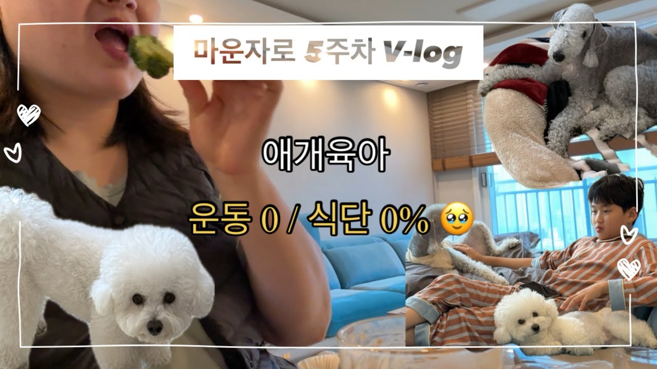 마운자로5주차 | 지난주 음주… 망했을까???