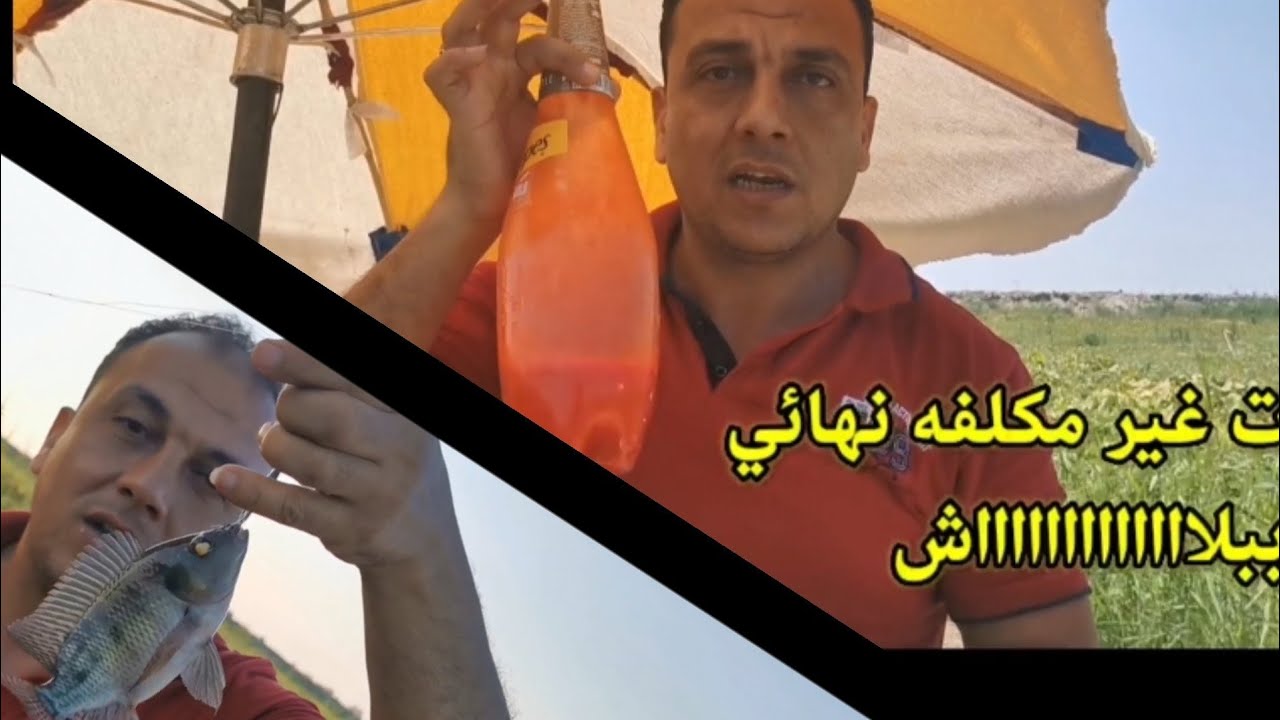 بنغيب ونرجع بالتقيل|| مفاجأة الغله|| مادة تزفير عالميه|| الخلطه الصح|| #fish #hook_fishing