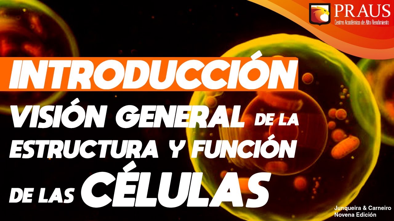 Visión General de las Células (Introducción)