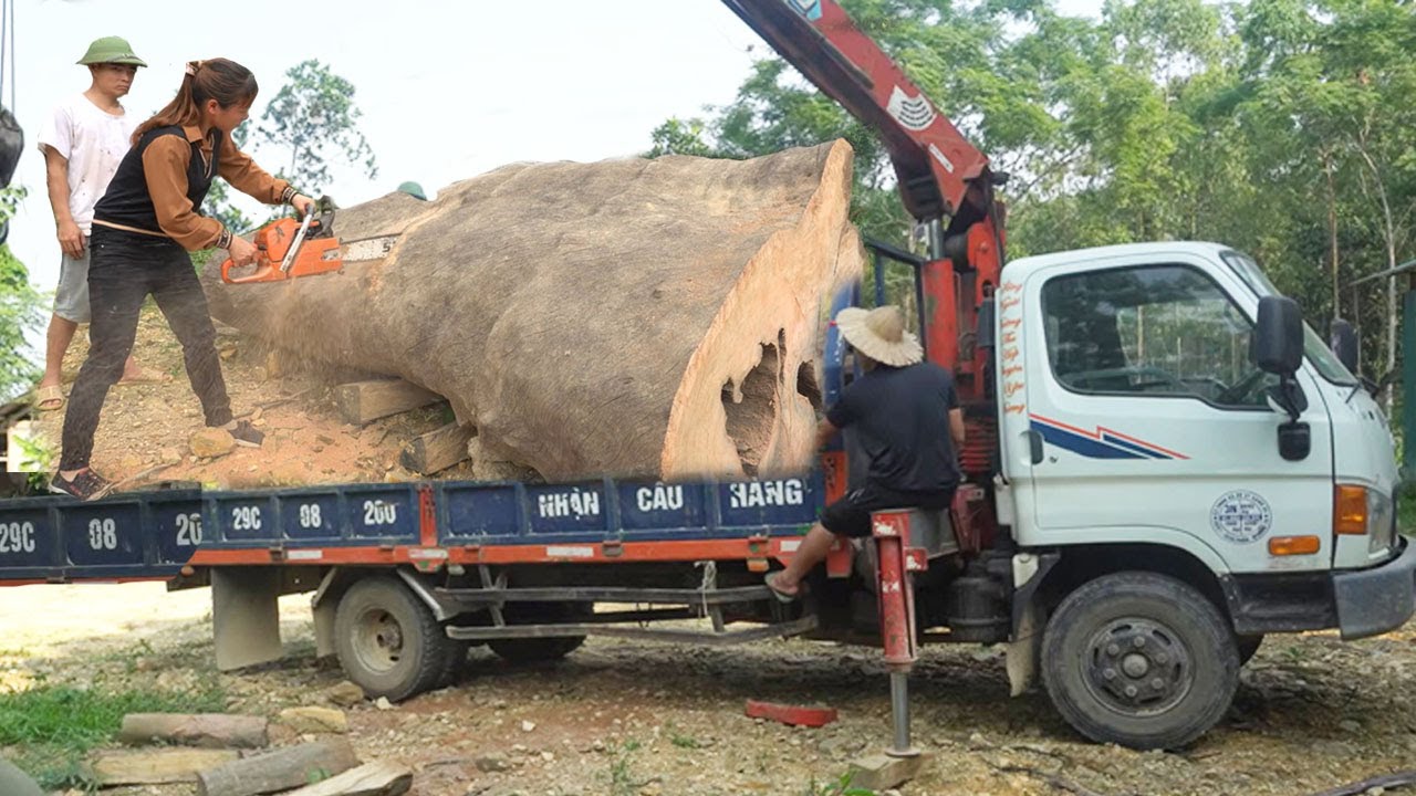 The biggest tree in the village was harvested and trucked home. make a big table from a big tree
