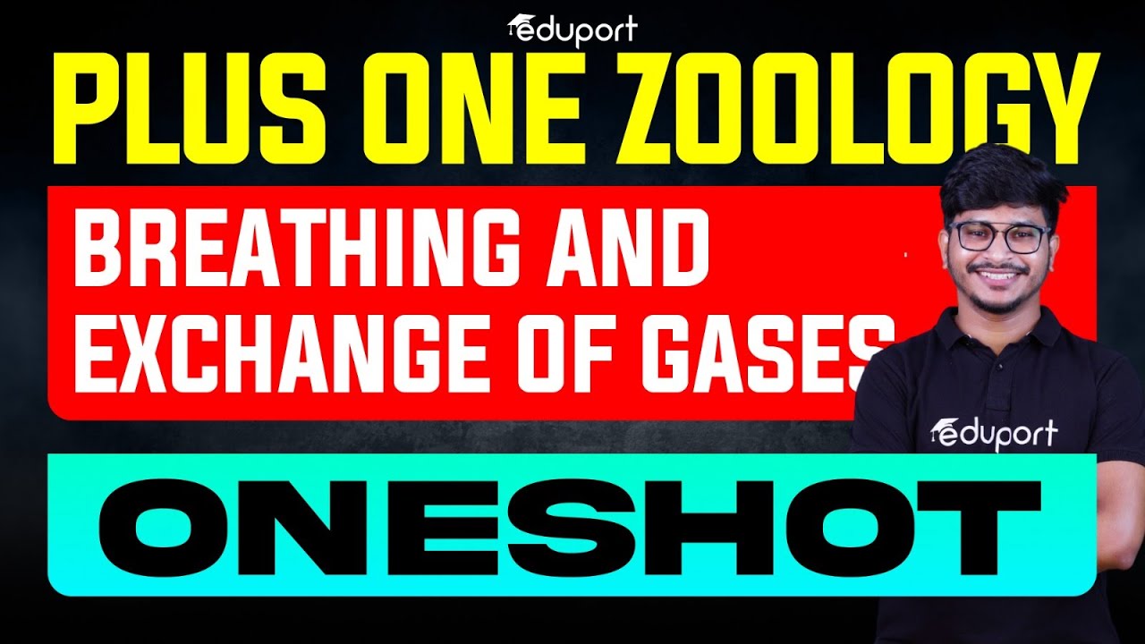 Plus One Zoology Breathing and Exchange of Gases Christmas Exam Important Portions Chapter 14