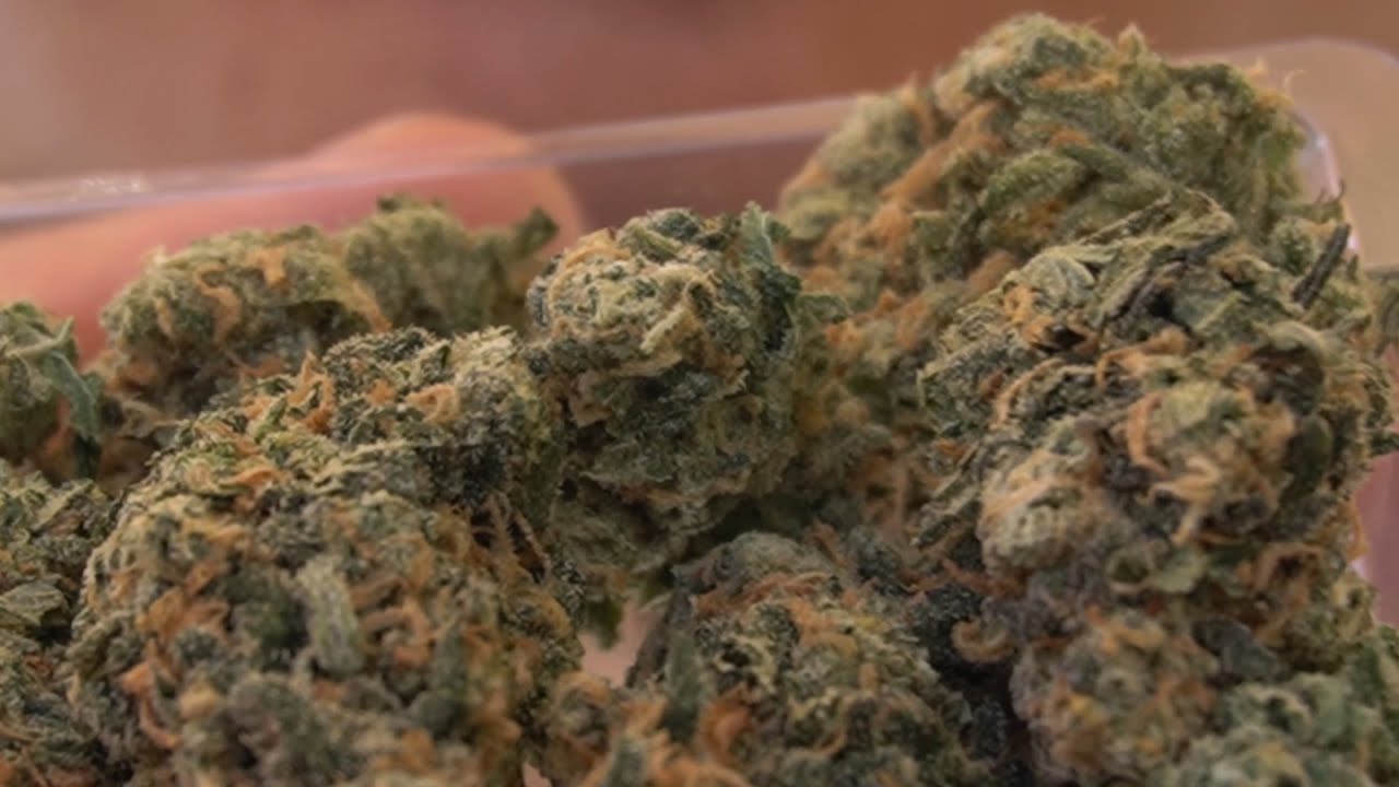 BLUE DREAM IS NOSTALGIC