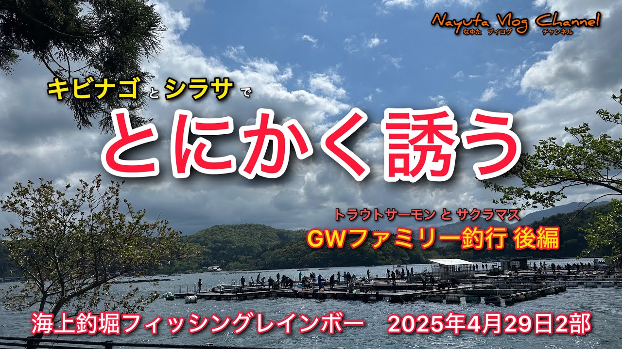 【海上釣堀】フィッシングレインボー 2025年4月29日2部貸切釣行　ファミリー釣行後編