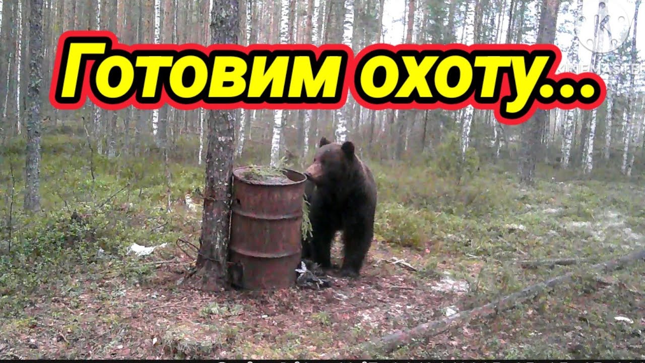 Босоногие атакуют бочку!!! Охота на медведя!!!