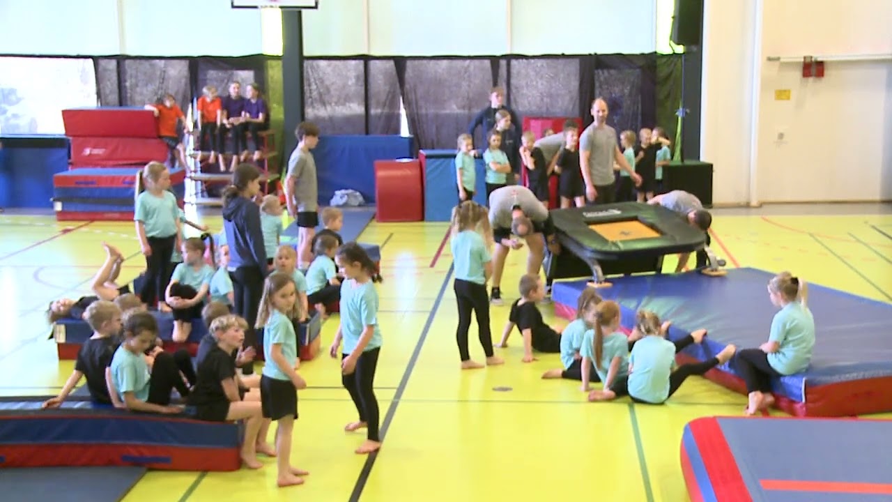 Fællesindslag gymnaster 0. kl. + og Spring- drenge og piger 0. - 1. kl.