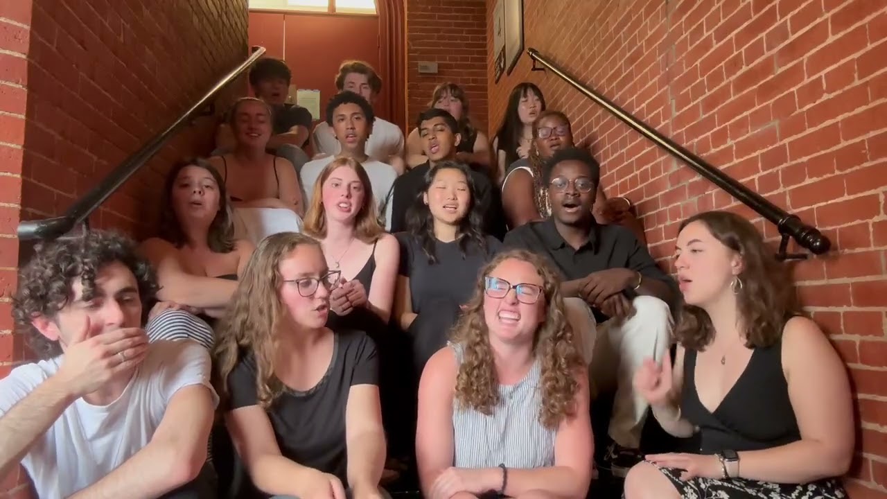 Stairwell Sing 2025 - Dog Days Are Over (opb. Florence + The Machine) - A Cappella Cover