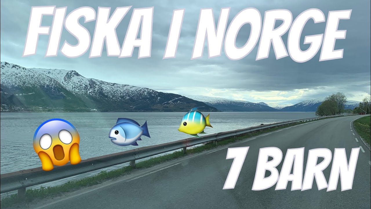 Vlogg 394 - Mot Norge!
