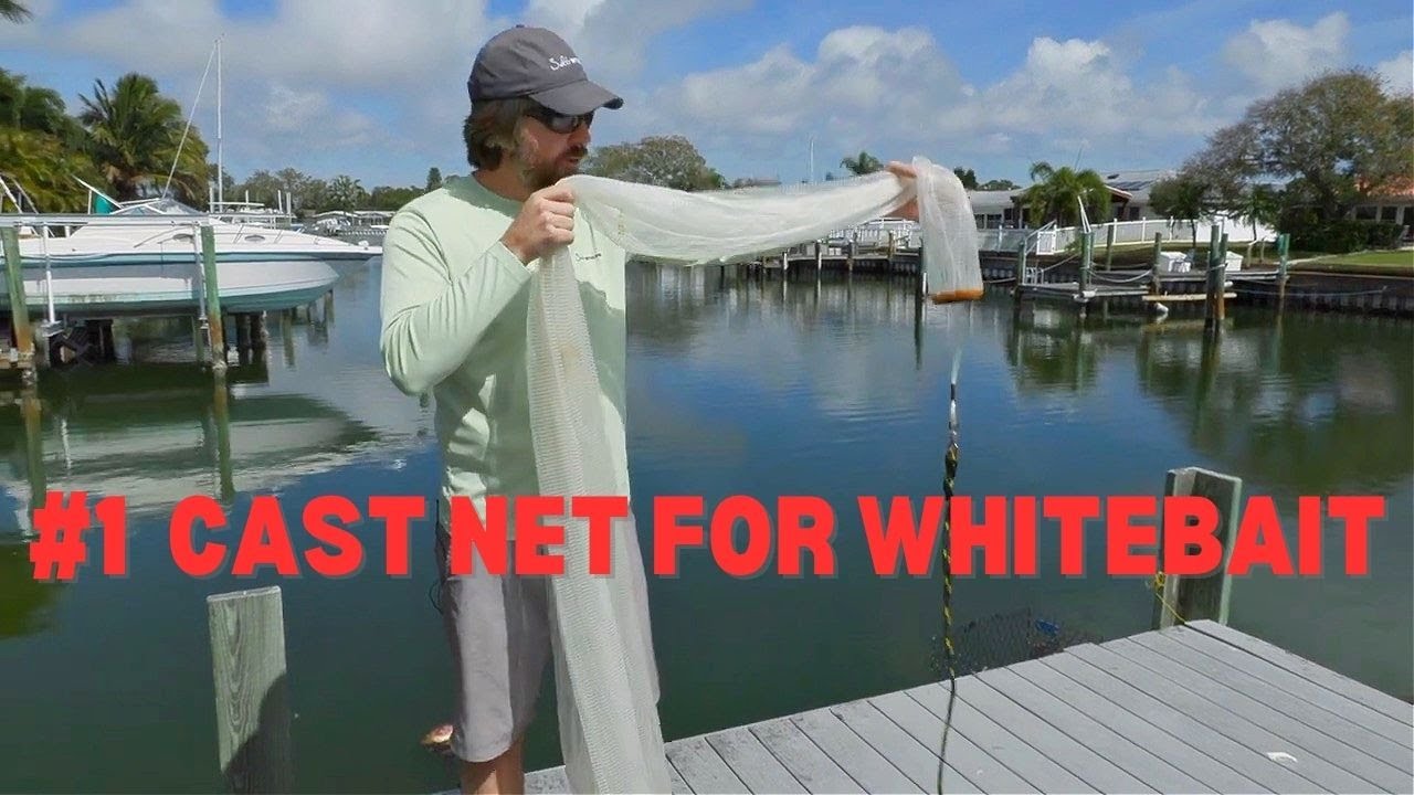 What's The Best Cast Net For Whitebait & Pinfish In Shallow Water?