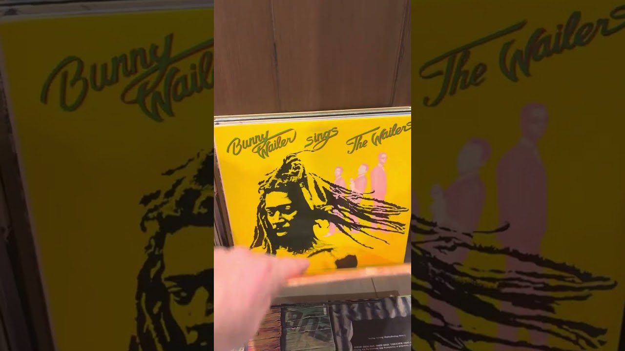 Reggae vinyl record flip thru adding Reggae to my collection 2