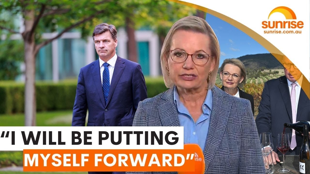 Sussan Ley announces bid for Liberal Party leader | Sunrise