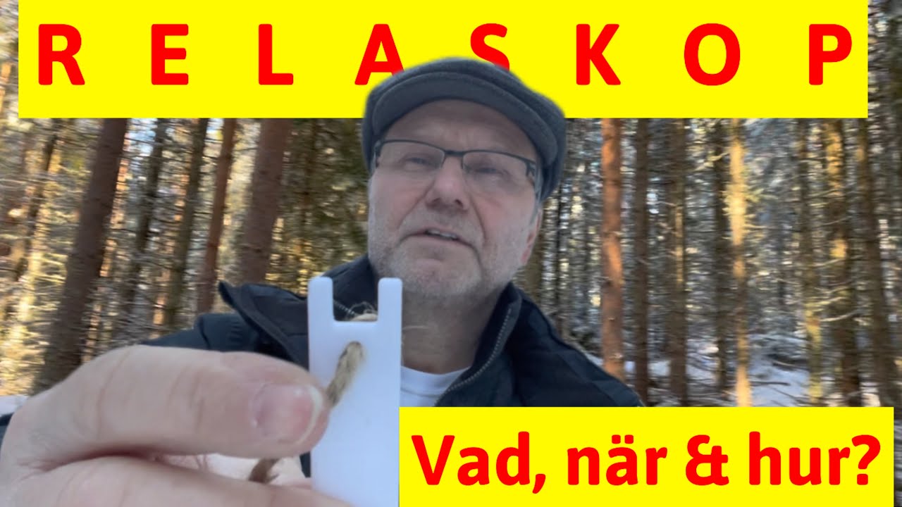 Vad är Relaskop och grundyta och hur används det vid gallring?
