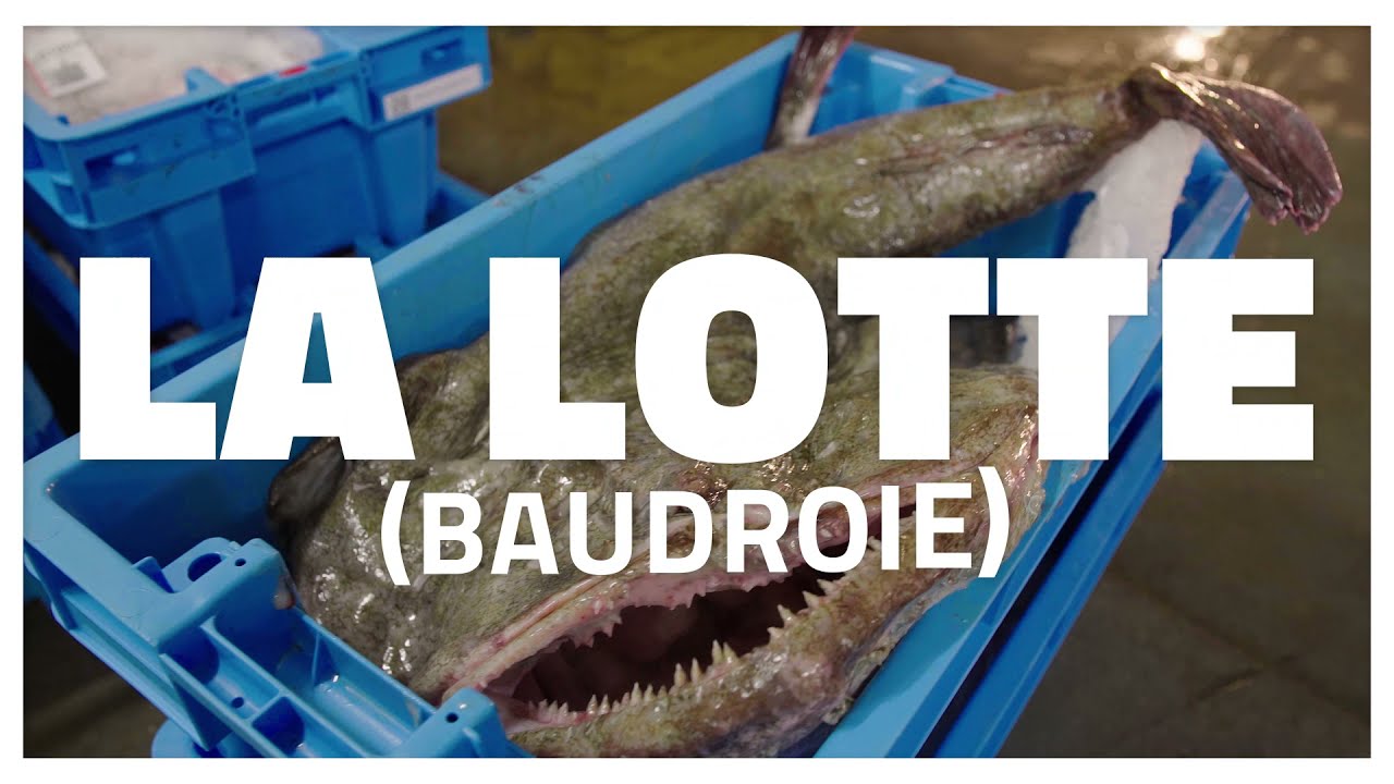 La lotte au Guilvinec - Armateur