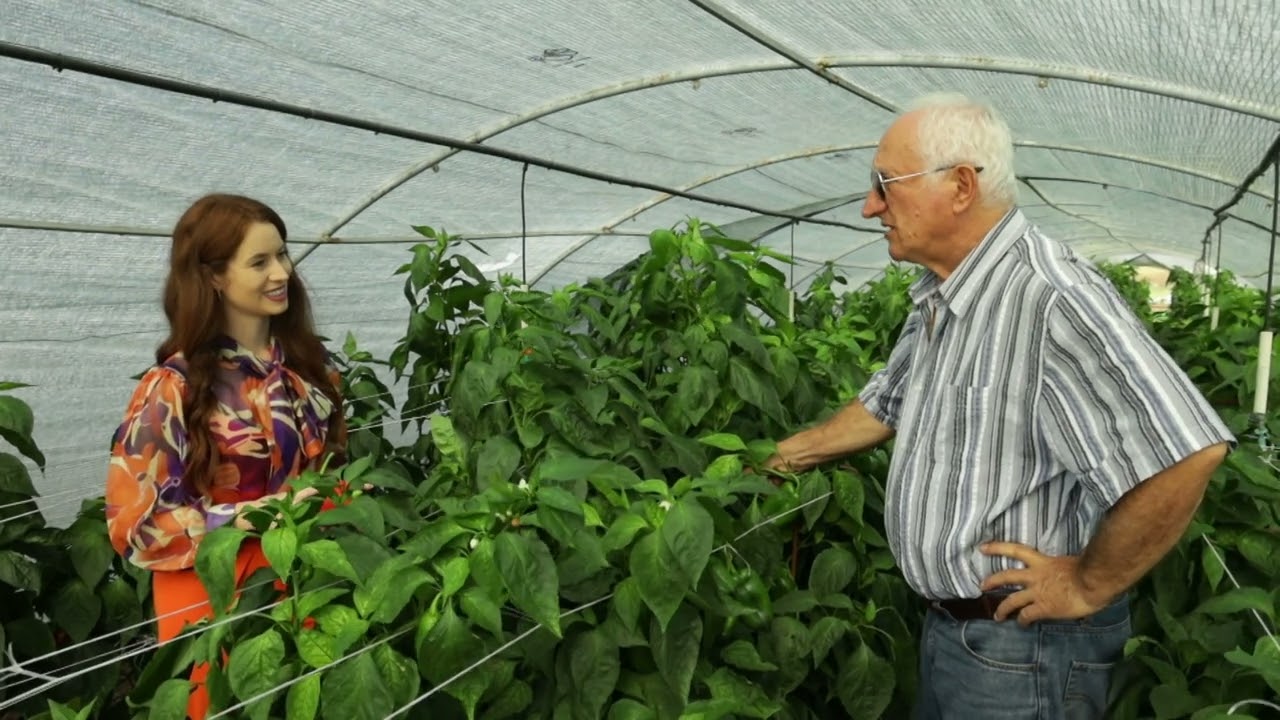 Brend moga sela ep. 201 20.10.2023. Paprika slonovo uvo, ajvar, Velika Plana, I deo