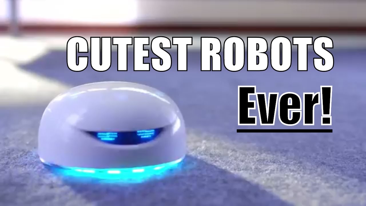 Cute Robots You Can BUY - Robots are Your Ultimate Life Hack