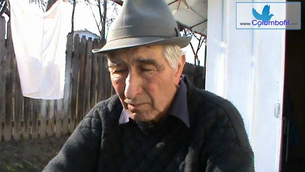 Prof Vasiliu Mihai explica metodele de reproductie si zbor ale porumbeilor