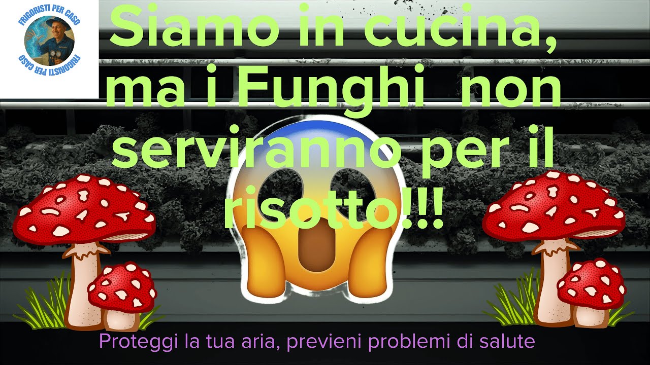 FUNGHI DENTRO AL CLIMATIZZATORE 😱