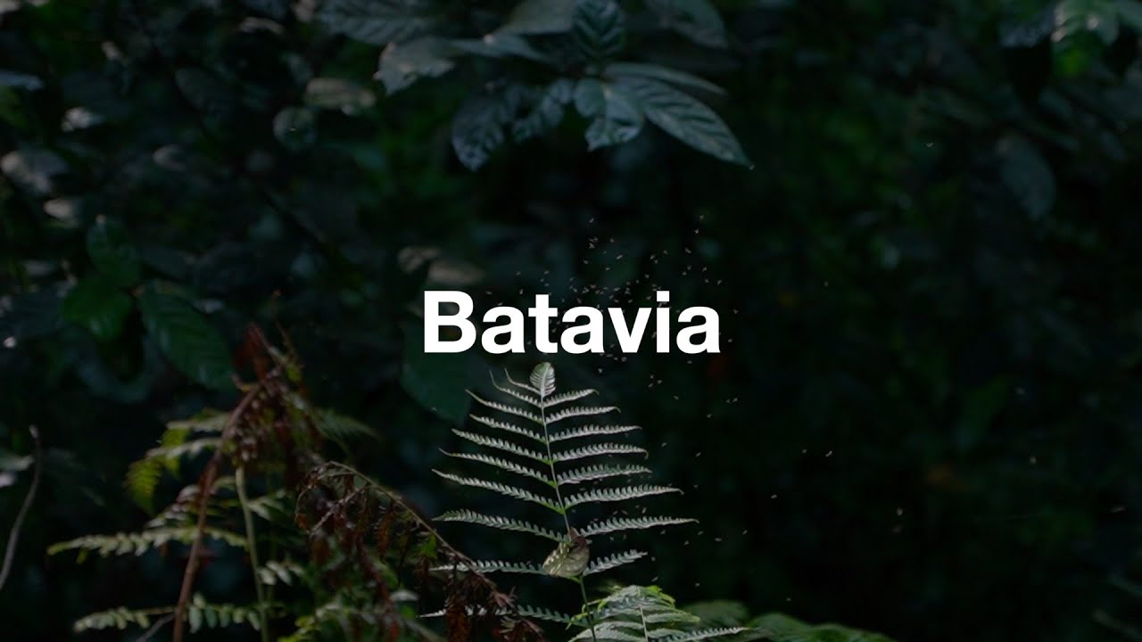 Batavia - 15 jours pour devenir meilleur que la veille (voyage en Malaisie, Indonésie et Singapour)
