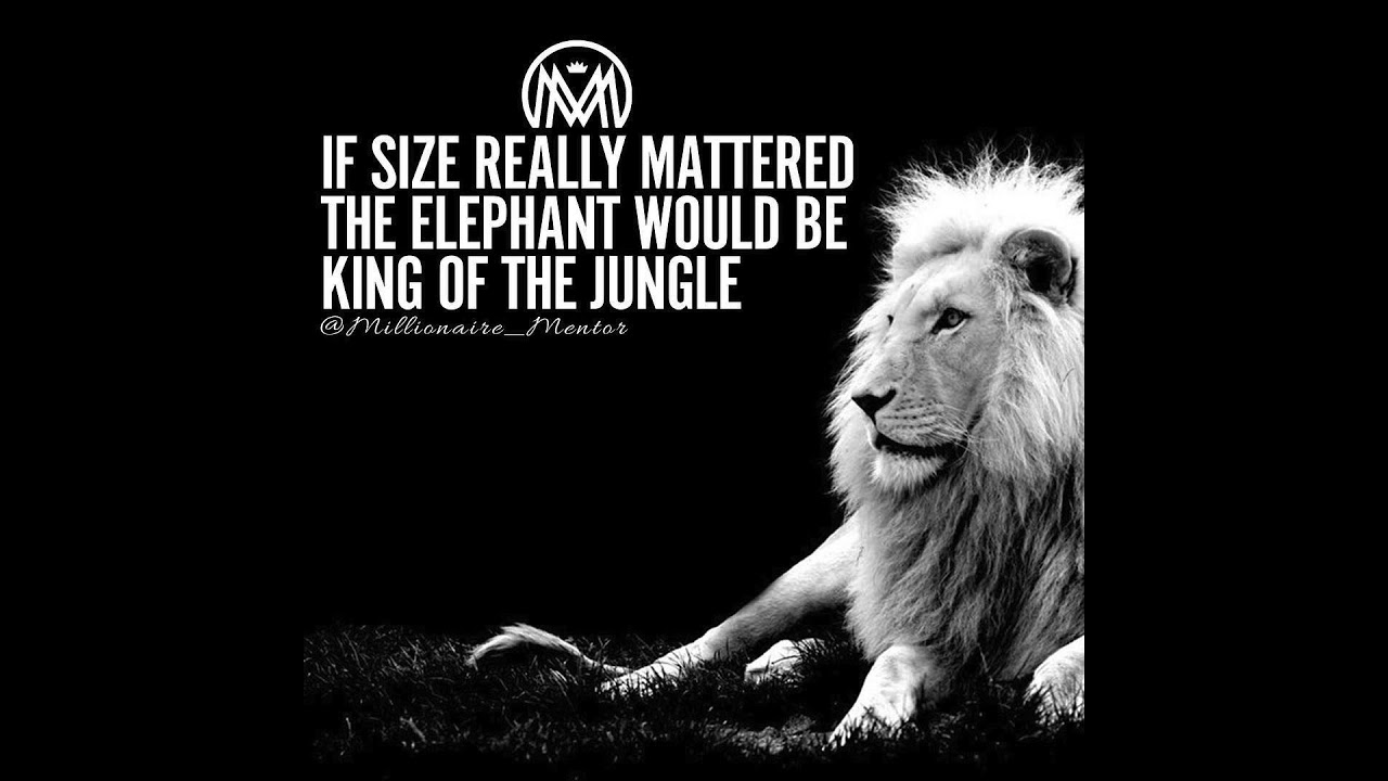 Leo Attitude