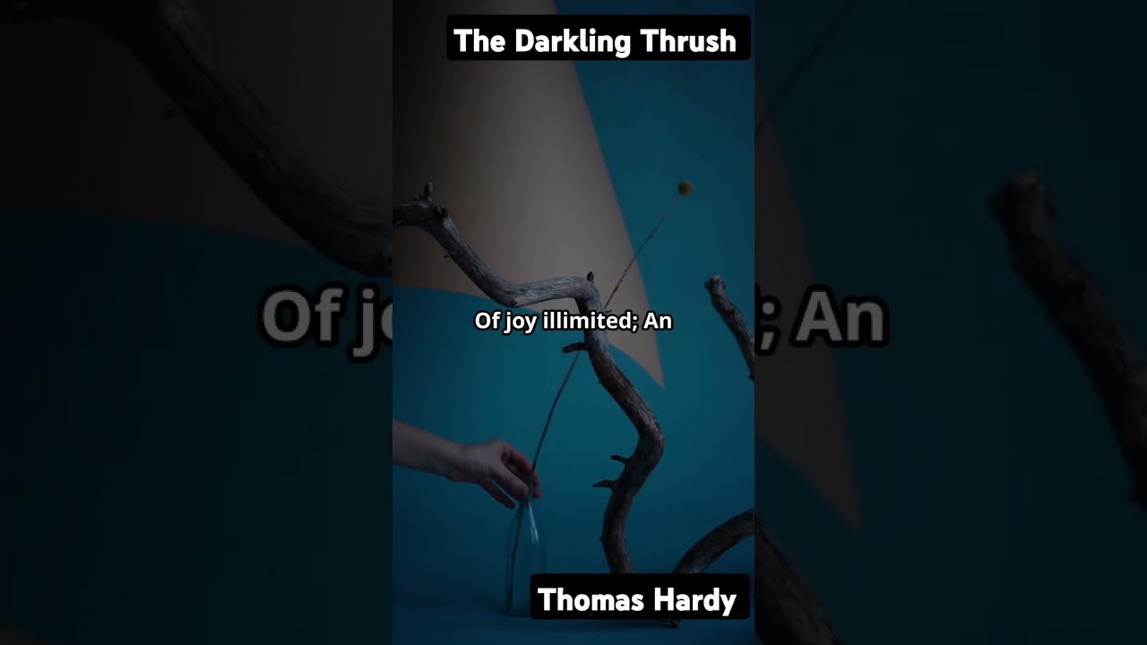 The Darkling Thrush BY THOMAS HARDY #visualliterature #literaryart #victorianera #poetrylovers