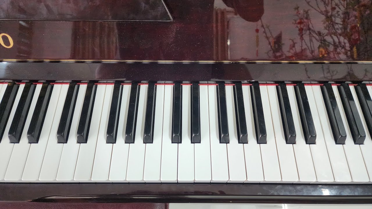 Bài 1.1 Giới Thiệu Phím Đàn Piano, Tìm Hiểu Các Nốt Trên Phím Đàn