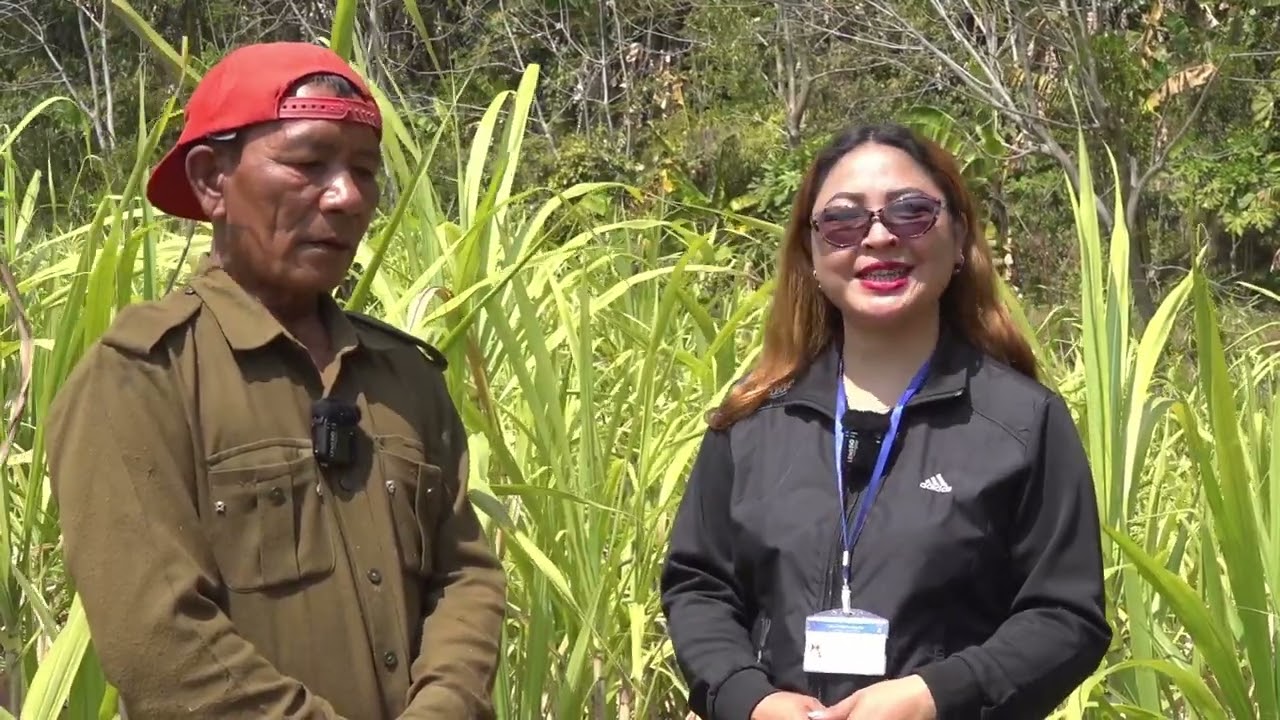 DDK Kut Hnathawktute Pual:-Lungleng I khua a fu huan siamtute kawmna
