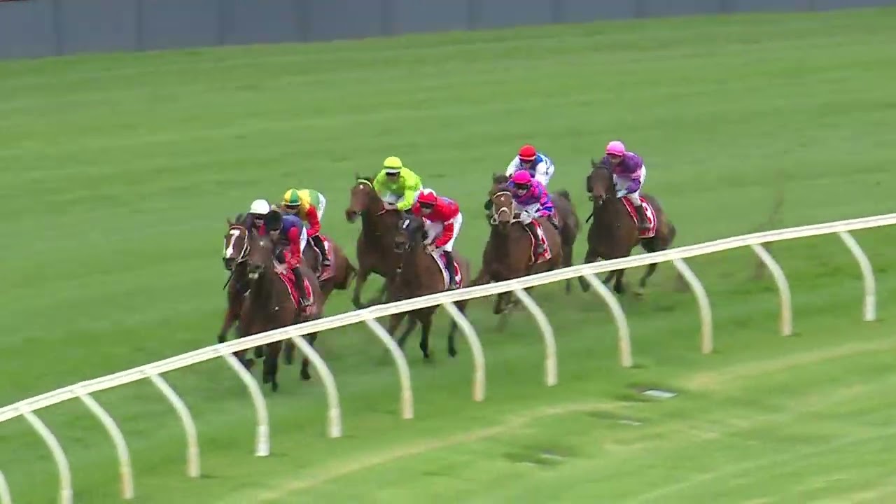 Geelong Cup 2025 - TORRANZINO (3YO+ Hcp G3) Group 3 Geelong 23 October