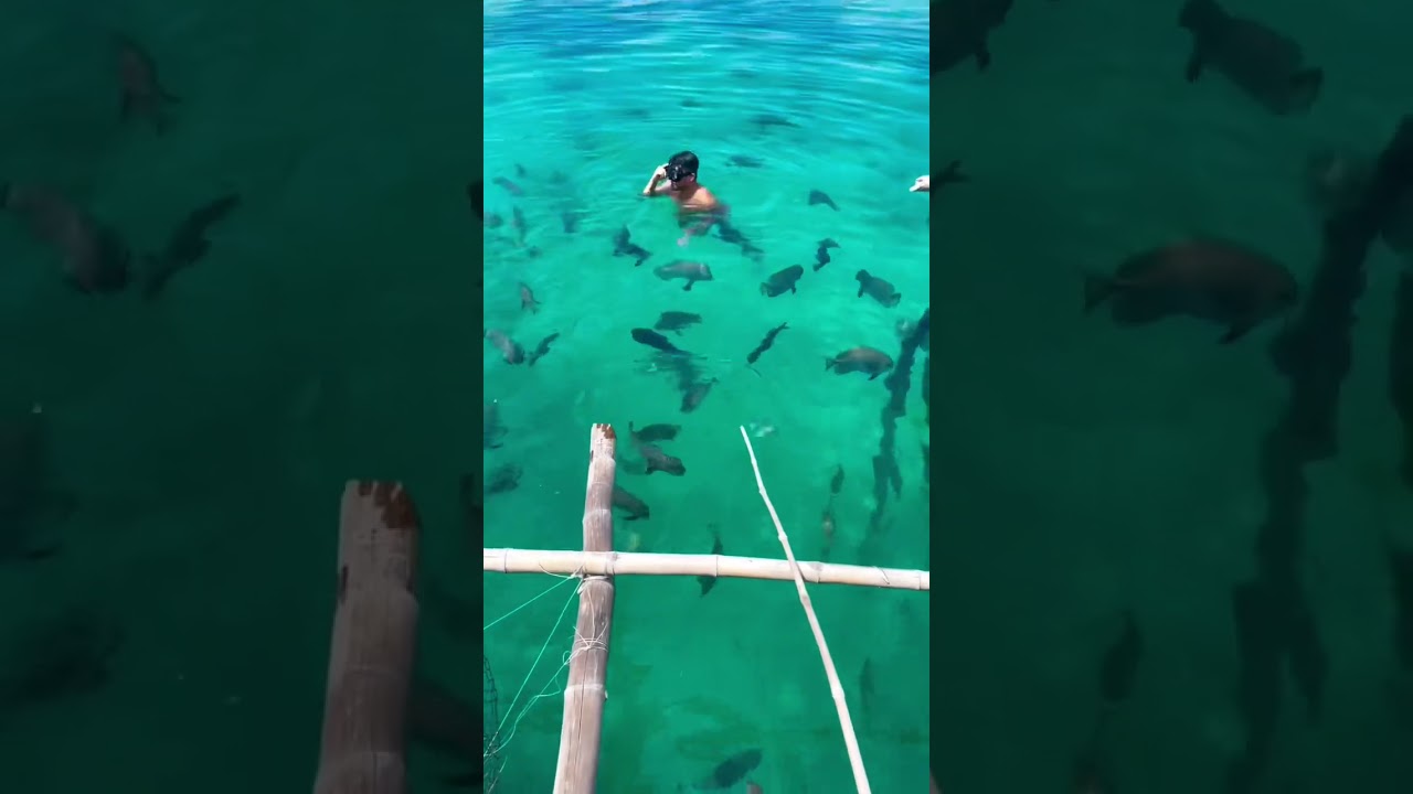Fish sanctuary in Matnog, Sorsogon.