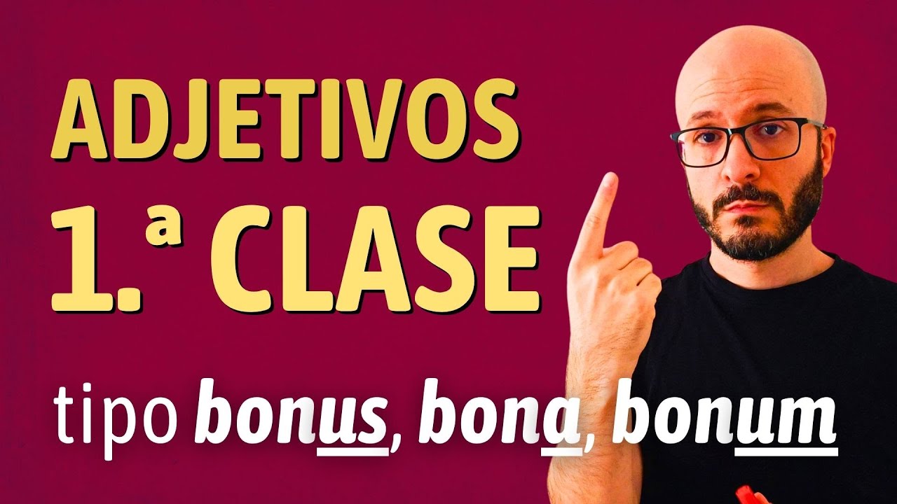 Latín: ADJETIVOS de la 1.ª clase (-us, -a, -um)