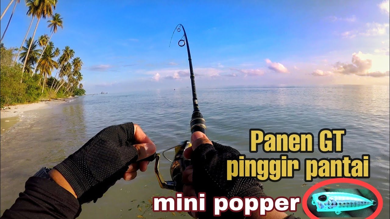 Panen Strike Ikan GT di pinggir Pantai || UltralightFishing || mini popper tetra works Duo pocopoco