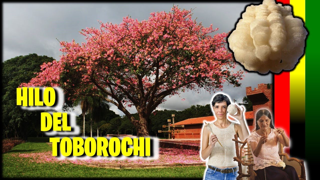 CREAN EL HILO DE TOBOROCHI EN BOLIVIA | PROYECTO BOLIVIANO - #santacruzdelasierra