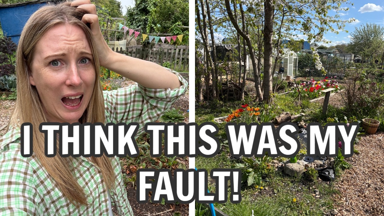Думаю, это была моя вина! : Садоводство на приусадебных участках, Великобритания