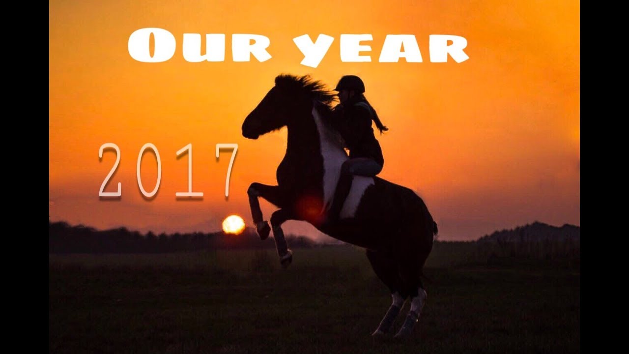 Our Year 2017!