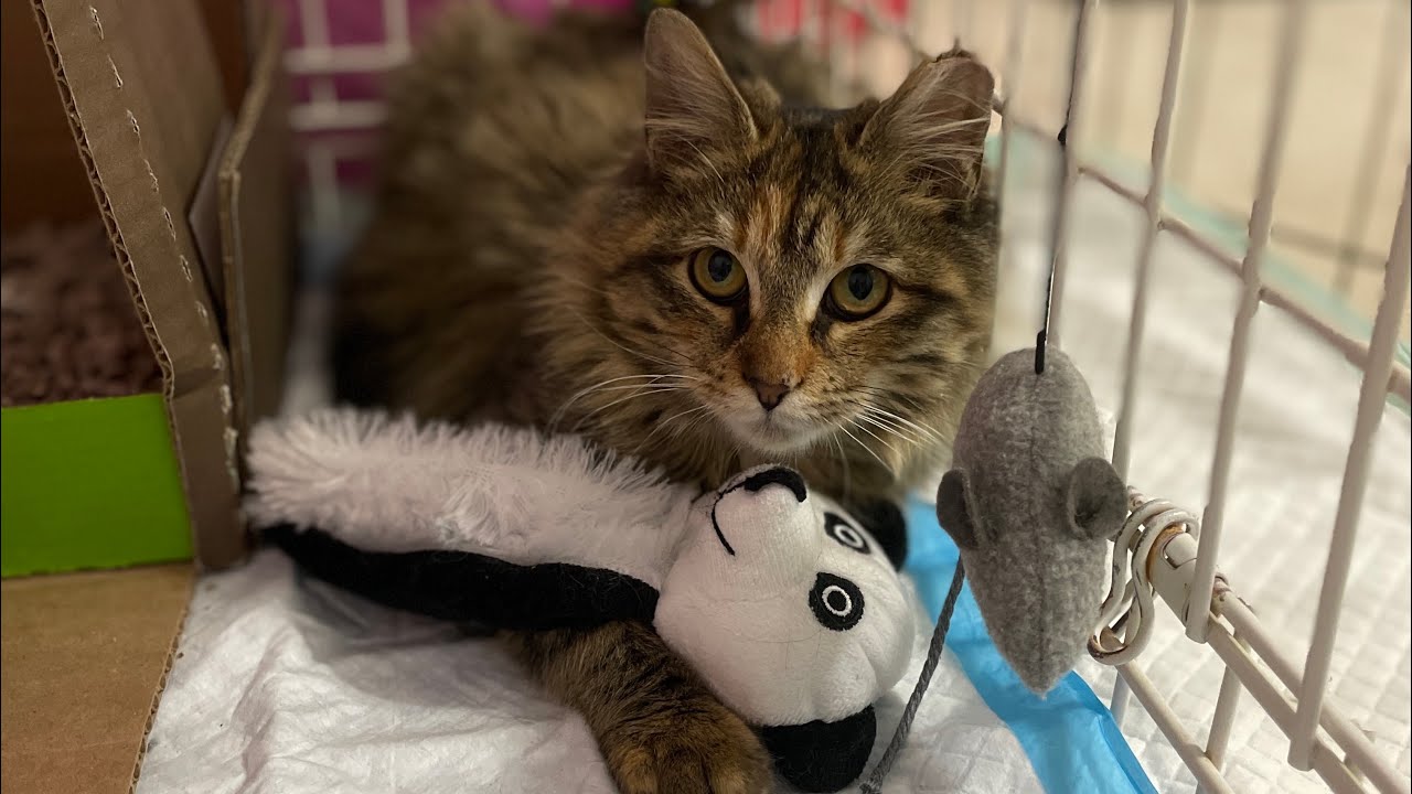 YoungGma Cam! Part 2