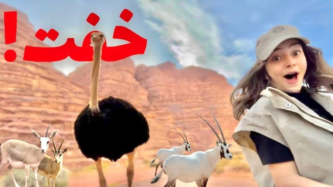 زرت محمية