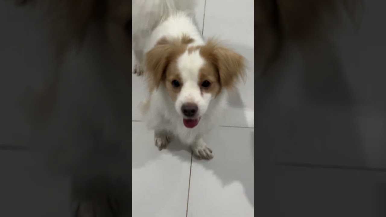 Full Video below👇  