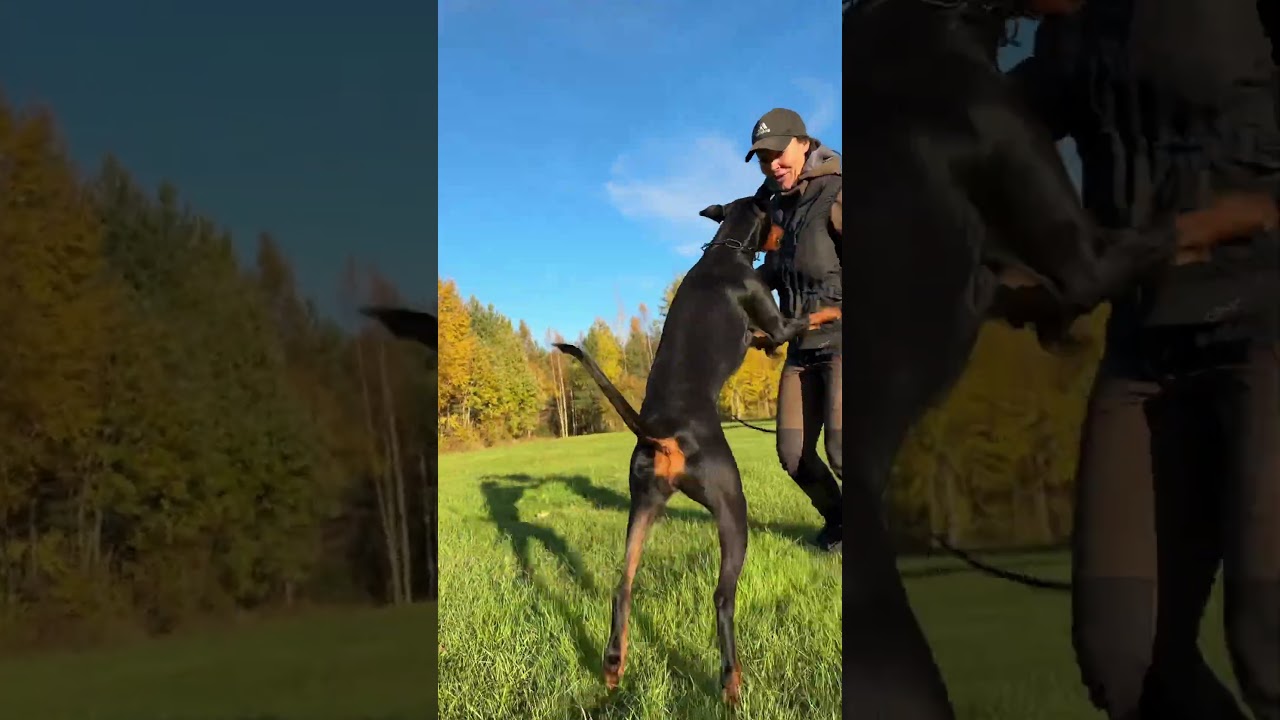 Miten rakentaa sosiaalinen palkka?