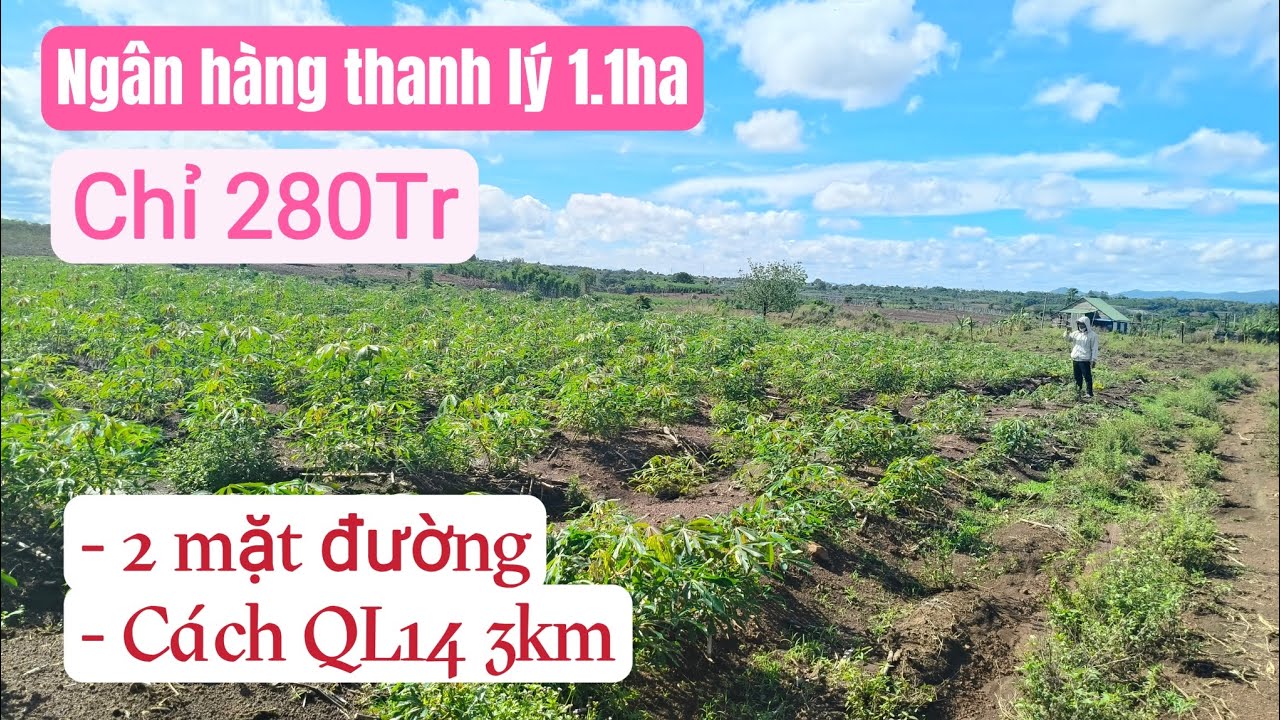 B&aacute;n đất rẫy gi&aacute; rẻ, bất động sản đất n&ocirc;ng nghiệp